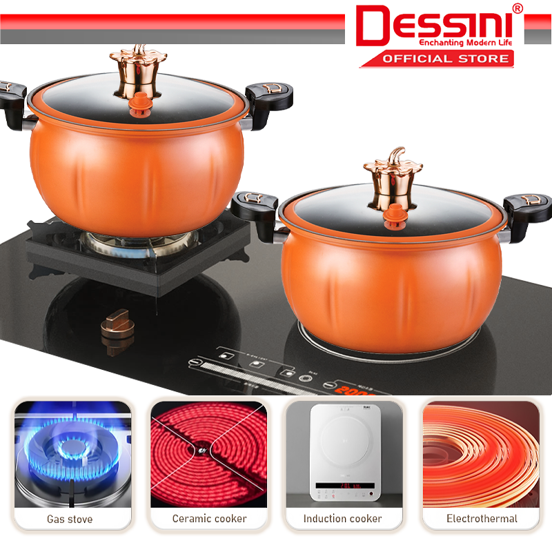 DESSINI ITALY 28CM Totipotent Pressure Cooker Casserole Induction Non
